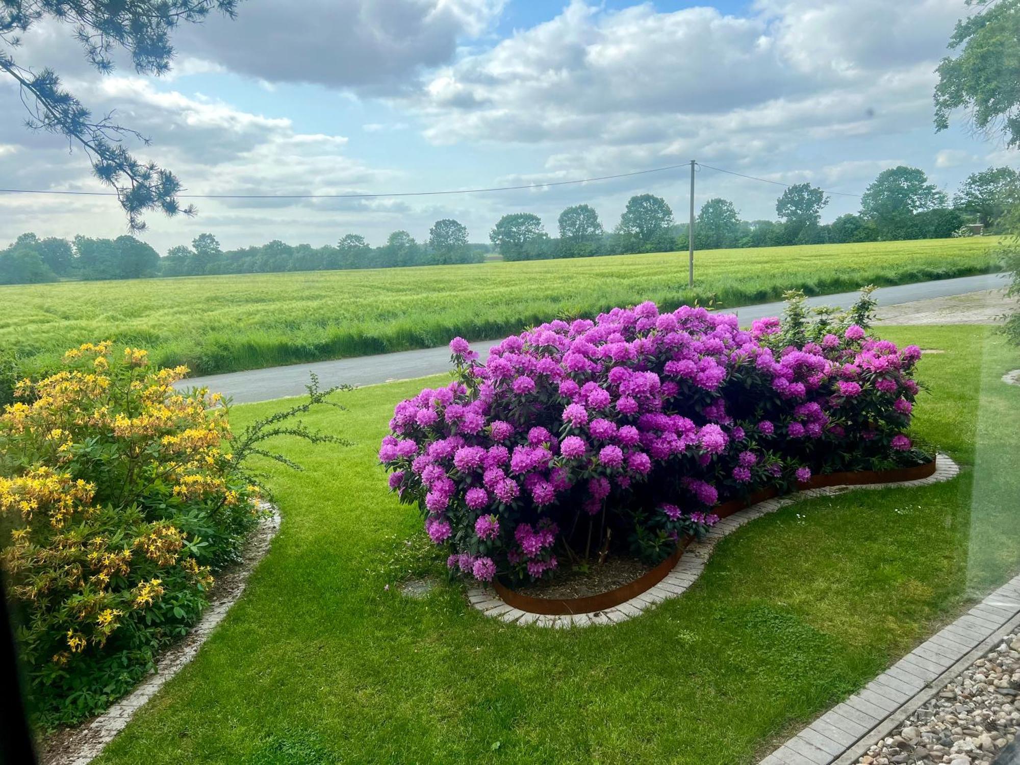 Dreckerhook, Oasis To Slow Down! Raesfeld المظهر الخارجي الصورة